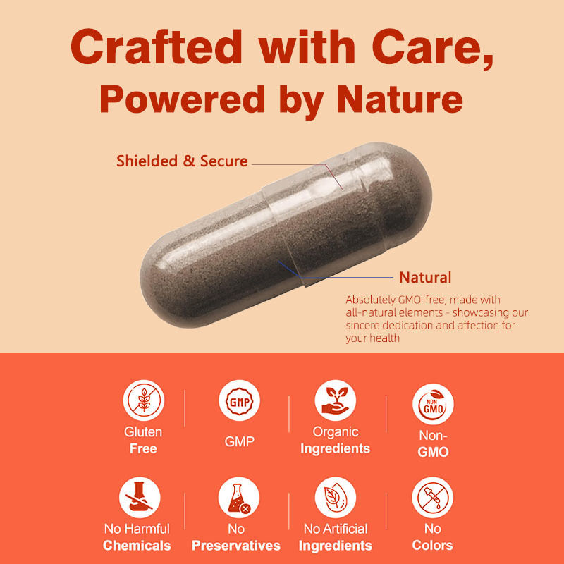 비GMO 쏘 팔메토 캡슐 500mg 복합, 호르몬 균형 및 모발 건강 지원