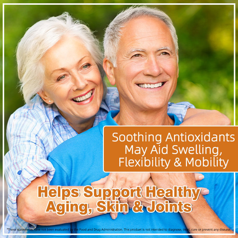 유기농 바다 이끼 캡슐 (블래더랙, 우엉 함유) - 건강한 관절과 피부 지원