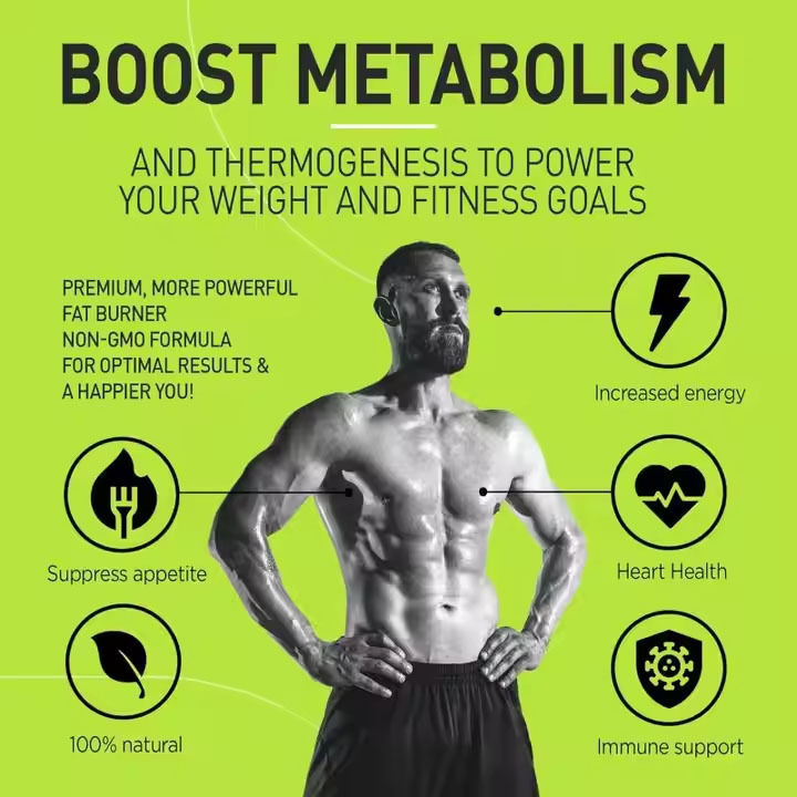 프리미엄 녹차 지방 연소자 천연 체중 감량 신진대사 부스터 디톡스 지원 면역 에너지 혜택