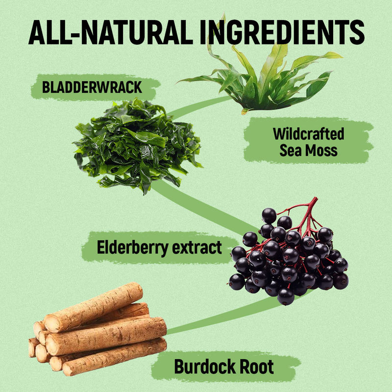 항산화 보조를 위해 비타민 C를 가진 바닷물 모스 고미