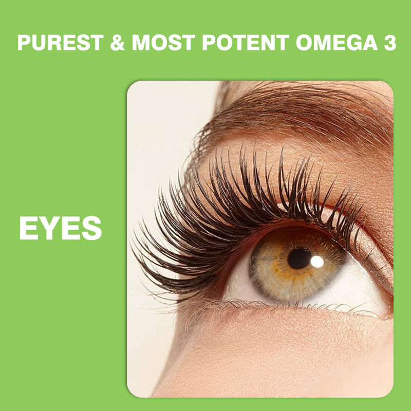 가장 많이 팔리는 오메가 3-6-9 어린이와 성인용 고기 비타민 뇌와 심장용 DHA 보충제 청소년용