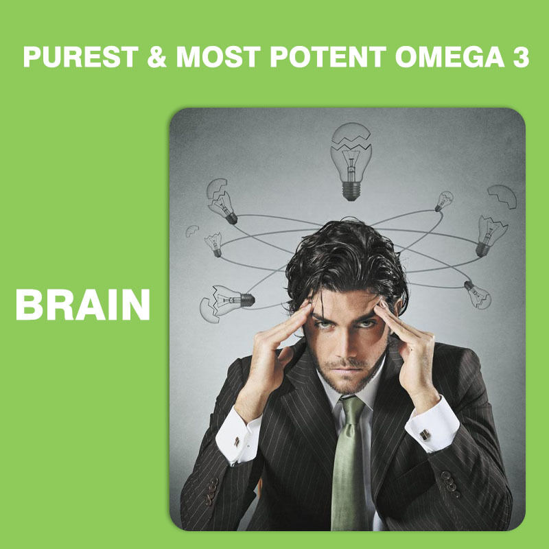 가장 많이 팔리는 오메가 3-6-9 어린이와 성인용 고기 비타민 뇌와 심장용 DHA 보충제 청소년용