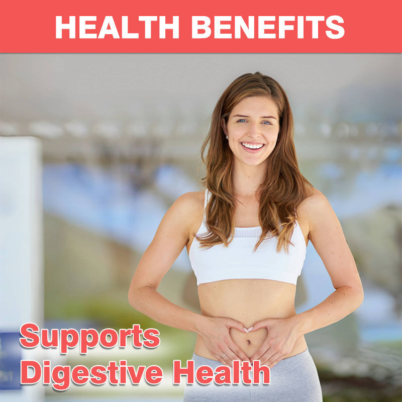 OEM/ODM 4g 프리바이오틱스 프로바이오틱스 젤리 600억 CFU 면역력 증진 장 건강 개선 항산화 성분 함유 성인용