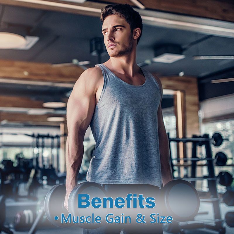 맞춤형 스포츠 크레아틴 모노하이드레이트 젤리 성인용 운동 전 근육 성장 알약 에너지 부스팅 크레아틴 보충제