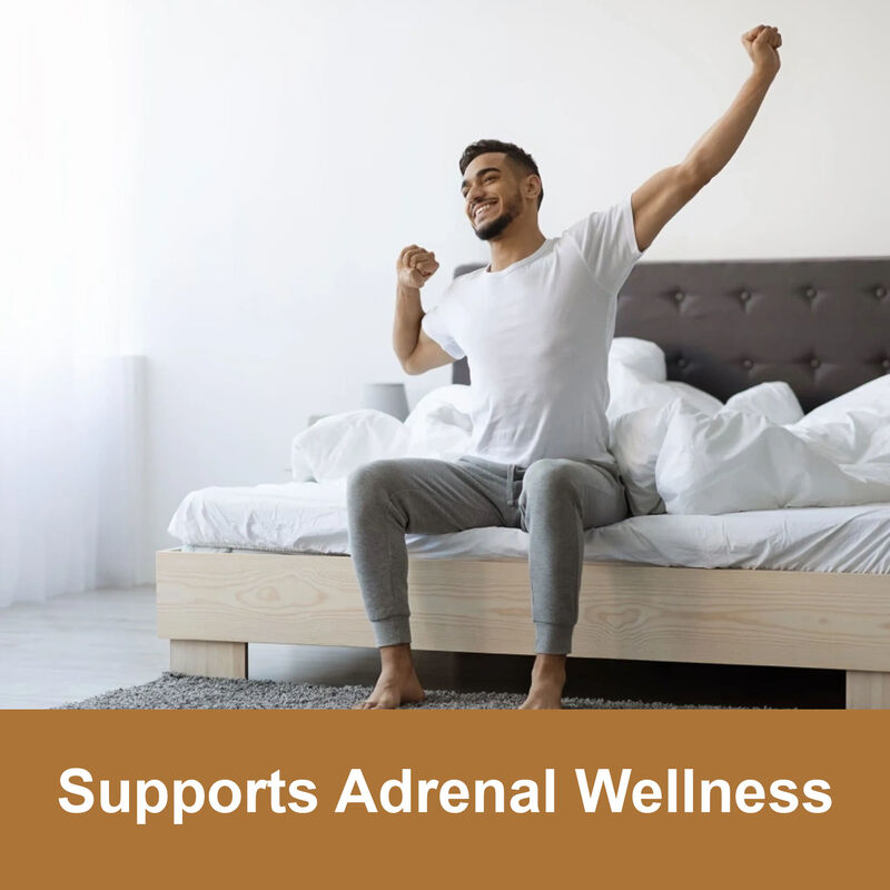 프라이빗 라벨 마카 뿌리 젤리 고품질 남성 에너지 증진 보충제 1800mg 마카 추출물 젤리 (여성 및 남성용)