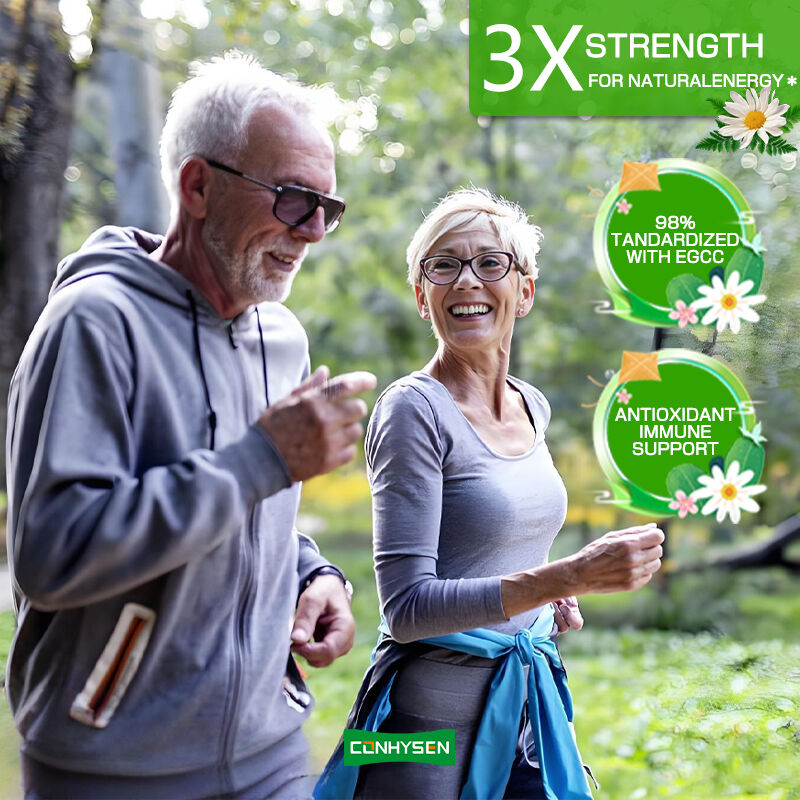 프라이빗 라벨 녹차 캡슐 풍부한 EGCG 보충제 항산화 면역 지원 체중 감량 슬리밍 지방 연소 알약