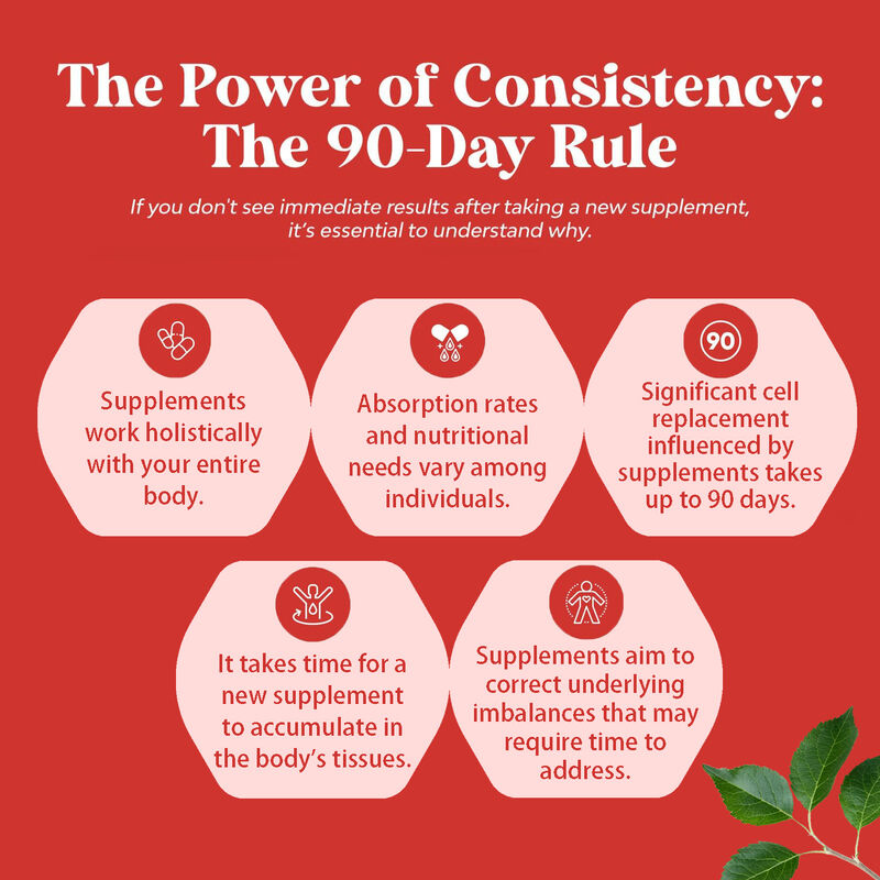 OEM 사설 레이블 체중 조절 건강 관리 여성 및 남성용 식단 보충제 사과 사이더 식초 복합 캡슐