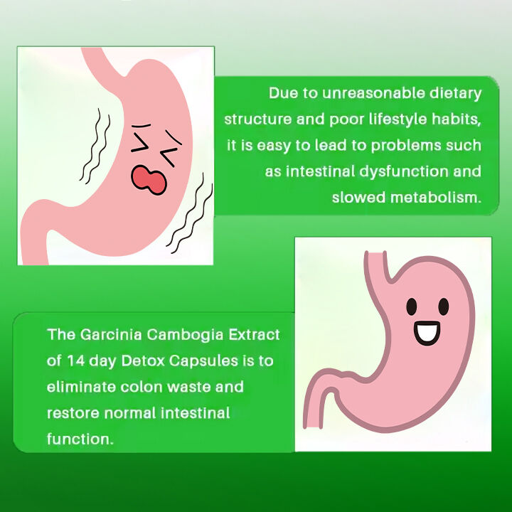 OEM ODM 14일 체중 감량 캡슐 급행 식욕 억제제 및 성인용 지방 연소제 식이섬유